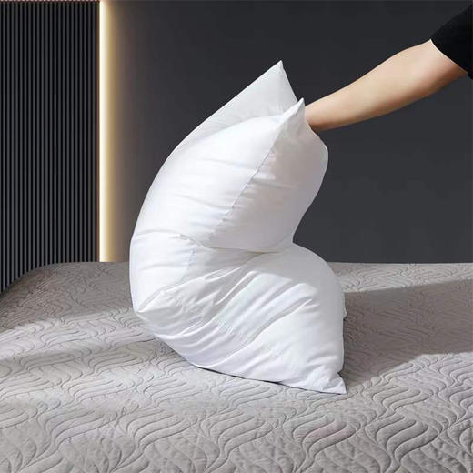 啄木鸟(PLOVER)酒店羽绒枕-单只ZMN-ZX004 商品图2