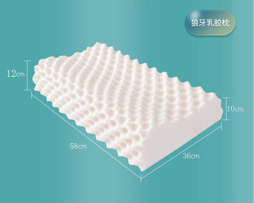 啄木鸟(PLOVER)泰国狼牙乳胶枕-单只ZMN-LYZ-01 商品图1