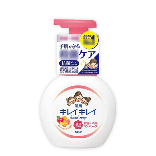 日本狮王洗手液果香型/花香型250ml 温和不刺激肌肤不紧绷 112376/112377 商品图3