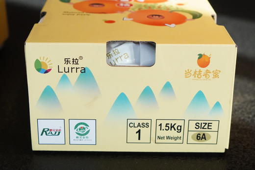 2025年新产季融安脆蜜金桔 商品图6