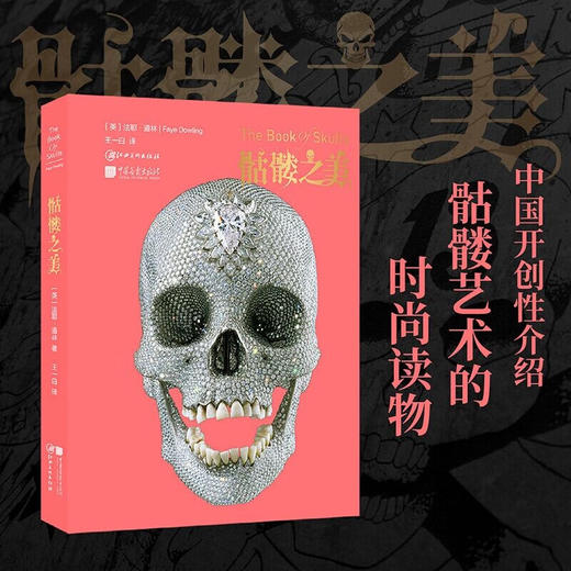骷髅之美（英）法耶·道林 著 商品图2
