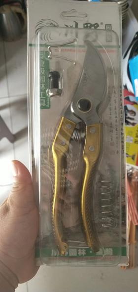 办公用品 剪枝剪（普）