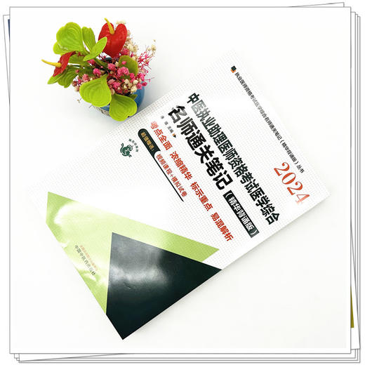 2024年中医执业助理医师资格考试名师通关笔记（精华背诵版） 徐雅 主编 中国中医药出版社 中医助理医师考试用书 商品图1