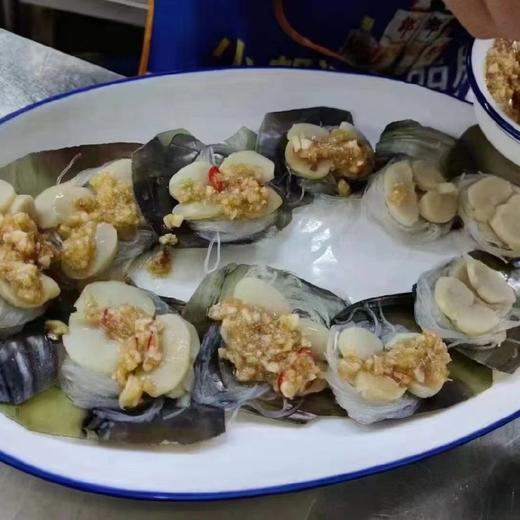 10个鲜冻粉丝带子【1B4上-12】 商品图2