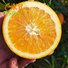 东升农场江西脐橙当季水果新鲜 5斤 包邮 商品缩略图3