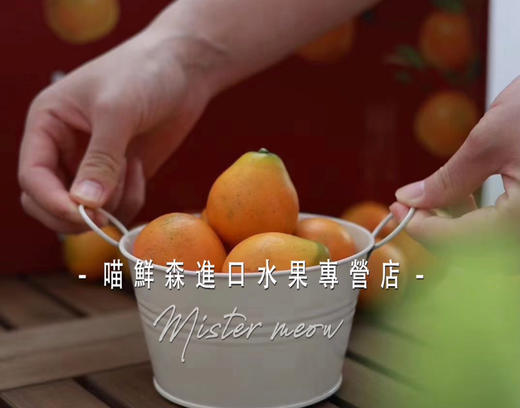 🛵脆蜜金柑🍊3A纯甜大金桔，无籽多汁 商品图3
