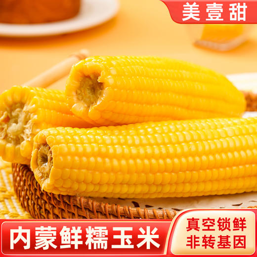 【5星推荐！】美壹甜有机巴彦淖尔即食鲜玉米 新鲜现摘真空包装 颗粒饱满 甜度高 内蒙古黄糯玉米粘玉米 7根重1800g 商品图2