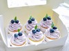 动物奶油 | 蓝莓奶油cupcake杯子蛋糕 商品缩略图0