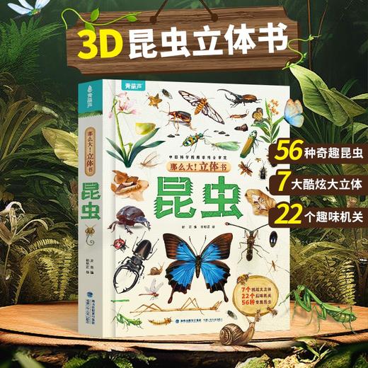 那么大！立体书：昆虫 7-10岁 儿童3d立体书 商品图4