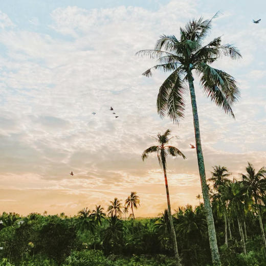 寒假亲子 | 顶奢亲子，另类万宁亲子营5天4晚 商品图5