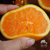 生态脐橙（九月红，酸甜） | 合作生产 *Eco-orange | Coproduction 商品缩略图2