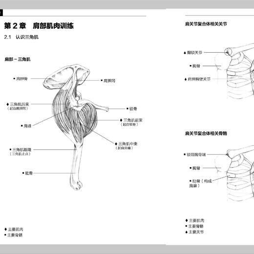 《健身百科全书：一本书让你搞懂健身这个事儿》 商品图9