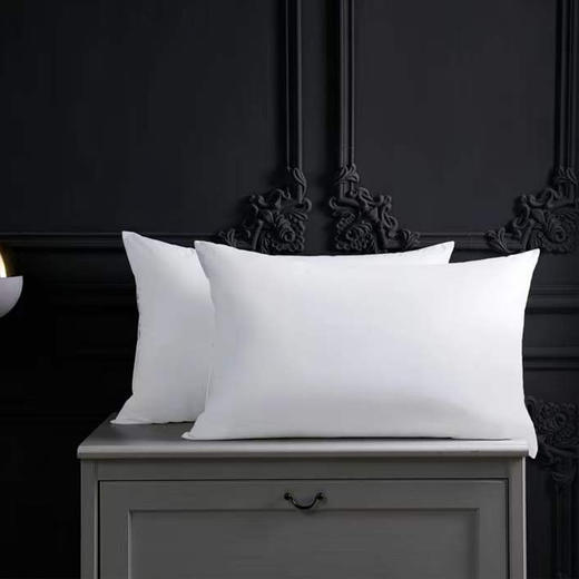 啄木鸟(PLOVER)酒店羽绒枕-单只ZMN-ZX004 商品图4