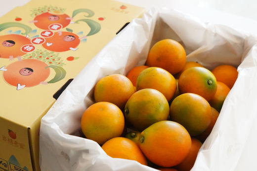 2025年新产季融安脆蜜金桔 商品图4