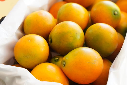 2025年新产季融安脆蜜金桔 商品图0