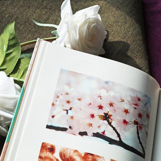 奏响色彩 日本国宝级染织家 志村福美 的色彩手记 商品图4