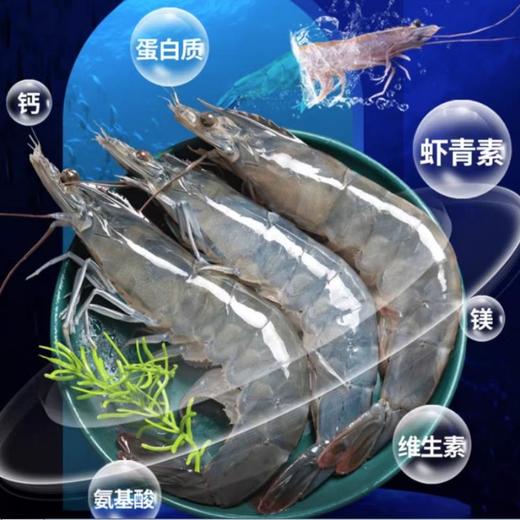 牛田洋南美虾约20尾/斤左右（大虾）约500G /份 商品图0