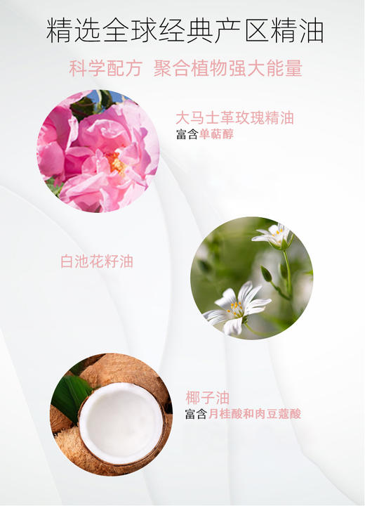 大马士革玫瑰面霜25ml 1瓶/2瓶  A-4770 商品图4