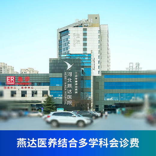 燕达医养结合多学科会诊费 商品图0