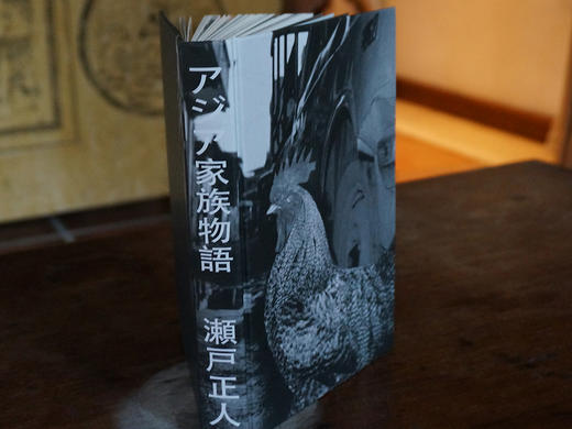 亚洲家族物语 托伊与正人 商品图8