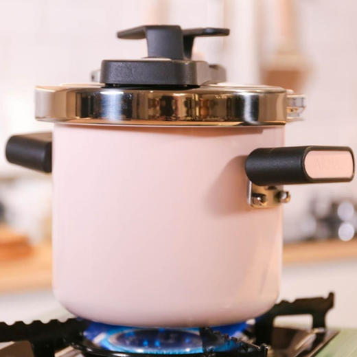 进口珐琅不锈钢亚曼达珐琅压力锅电磁炉专用2.5L（白） 商品图2