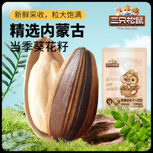 【爆款直降】【三只松鼠】焦糖味瓜子/山核桃味瓜子500g*2袋-fx 商品图0