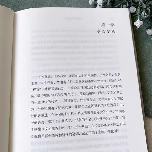 博观雅制：《文心雕龙》导引（珞珈博雅文库·经典导引系列） 李建中 著 商务印书馆 商品图5