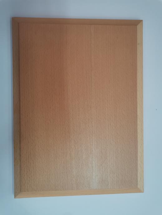 木质奖牌 商品图1