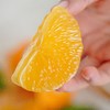 美人回归！皮薄飙汁【红美人】福建平和 30年蜜柚老树嫁接！香气浓郁 肉质饱满 皮薄易剥 甘甜水嫩 商品缩略图10