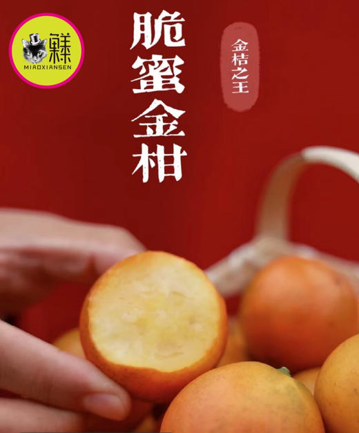 🛵脆蜜金柑🍊3A纯甜大金桔，无籽多汁 商品图0