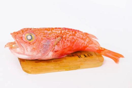 新西兰原装进口兰维乐南极野生红石斑鱼 每条约600—1000g之间 商品图1