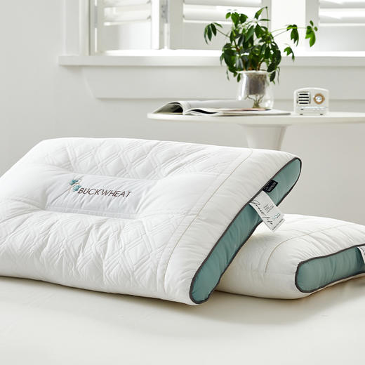 啄木鸟(PLOVER)全棉荞麦助眠枕ZMN-ZX008 商品图1