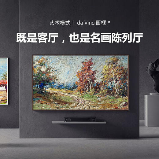 创维/电视/55Q53 商品图3