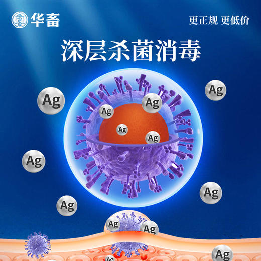 华畜纳米银水产专用南美白对虾小龙虾养殖净水空肠空胃白便弧菌净 商品图2