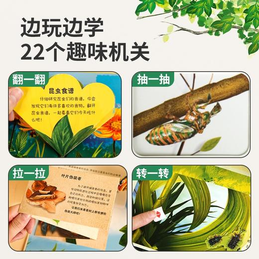 那么大！立体书：昆虫 7-10岁 儿童3d立体书 商品图1