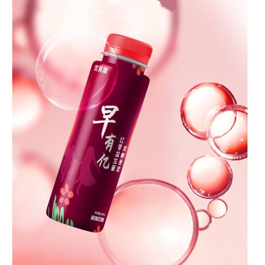 【严选】优食集  红枣益生菌发酵饮料 228ml*10瓶/箱（厂家直发） 商品图1