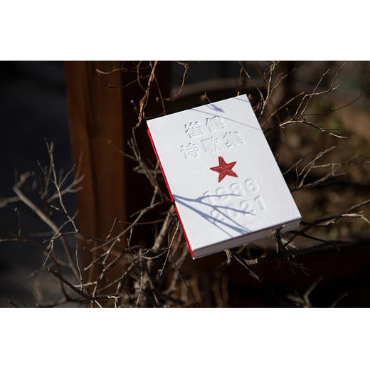 崔健诗歌集:1986—2021 商品图5