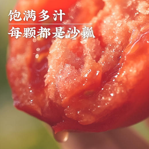 艾格吃饱了云南老品种露天西红柿4斤装番茄粉果蔬菜水果生吃新鲜 商品图2