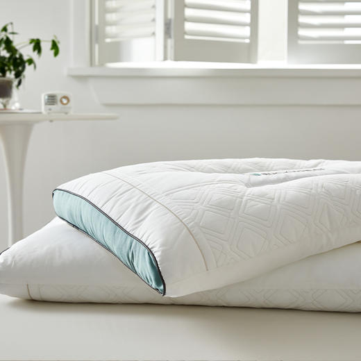 啄木鸟(PLOVER)全棉荞麦助眠枕ZMN-ZX008 商品图5