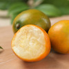 【果蔬精选】小蜜蛋 • 融安滑皮金桔  绿色认证品质 不打农药不催熟 现摘现发 脆甜可口 带皮即食 商品缩略图2