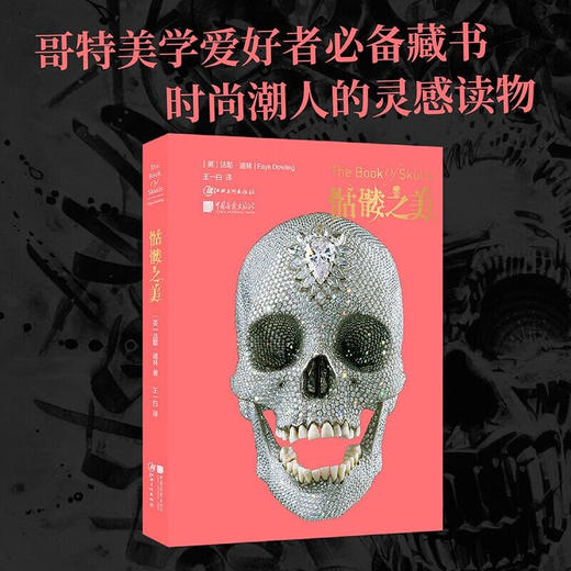 骷髅之美（英）法耶·道林 著 商品图1