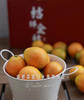 🛵脆蜜金柑🍊3A纯甜大金桔，无籽多汁 商品缩略图5