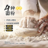 在旗皇馍馍640g 8个 枣泥豆沙馅早餐糜子面黄馍馍杂粮食品速食半成品 商品缩略图2