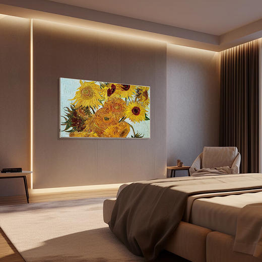 创维/电视/W55D 商品图6