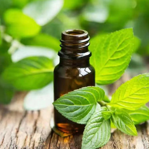 知和无尤复合精油芳疗系列【大马士革玫瑰精油】 商品图3