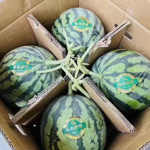 春春麒麟西瓜🍉新鲜西瓜，非常甜，藤还是绿的。注明：快递损耗不售后。 商品图12