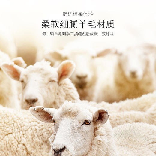 洁丽雅4双装中筒男袜美丽奴羊毛中筒男袜耐磨防寒保暖袜子男 商品图3