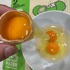 散养土鸡蛋 不吃食料 五谷杂粮喂养、30枚/份 乌鸡蛋、粉壳蛋 商品缩略图3