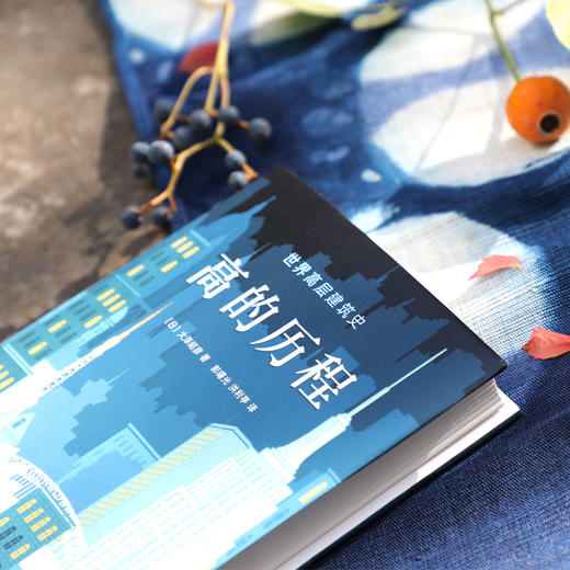 高的历程 世界高层建筑史（日）大泽昭彦 著 商品图2