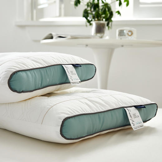 啄木鸟(PLOVER)全棉荞麦助眠枕ZMN-ZX008 商品图2